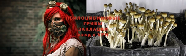 таблы Магас